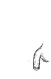 300x465