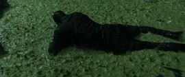 1024x426