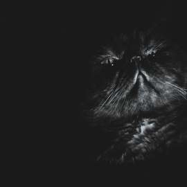 1920x1920
