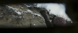1008x432