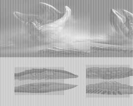 700x556