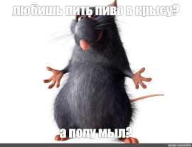 1024x788