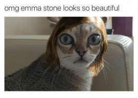 500x356