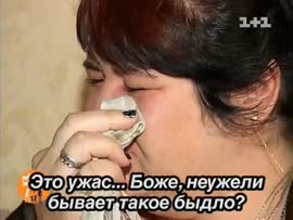530x400