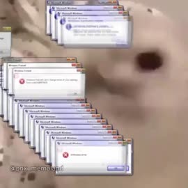 720x720