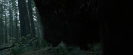 1280x536