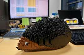 900x599