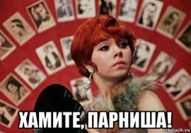 500x349