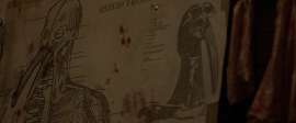 1920x800