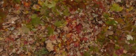 1920x800