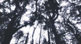 1920x1040