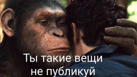 1280x720
