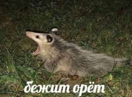 400x296