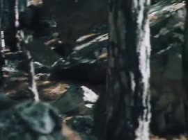 480x360