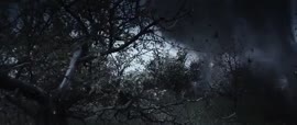 720x304
