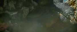 1920x804