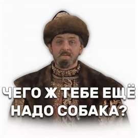 720x720
