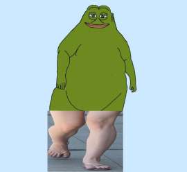 977x899