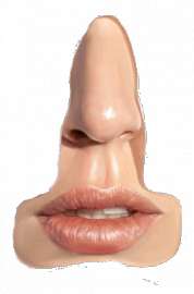 258x391