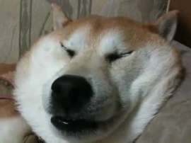 480x360