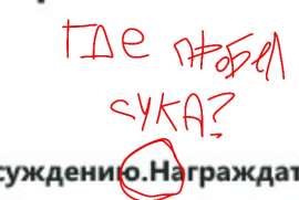 549x369