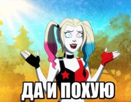 432x336