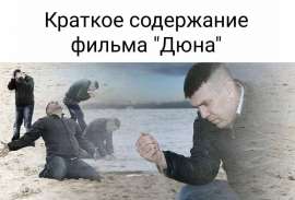 1186x805