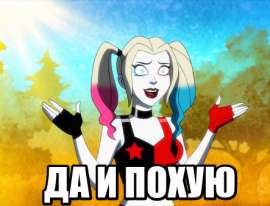 443x338
