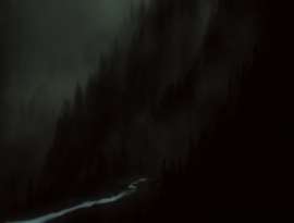 1250x951