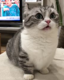 640x800
