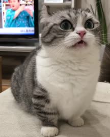 640x800