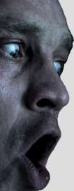 317x800