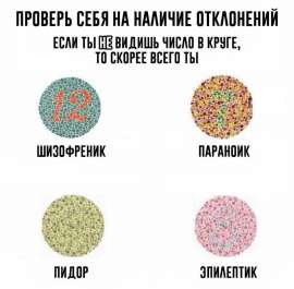800x786