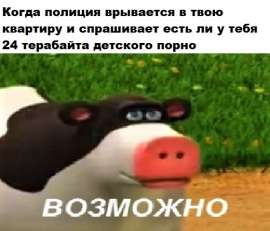 520x446