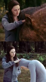406x720