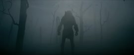 1920x800