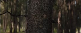 866x358