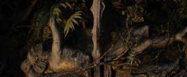 3840x1600