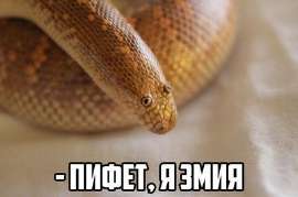 400x266