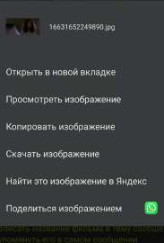 799x1176