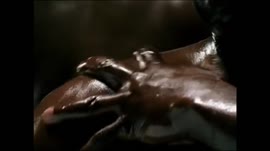 640x360