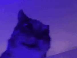 374x280