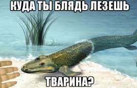 592x380