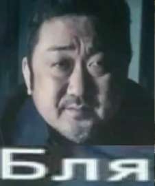 506x604