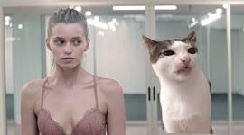 540x300