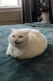 754x1149