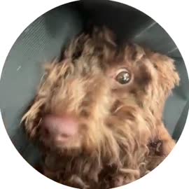 400x400