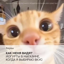 1080x1080