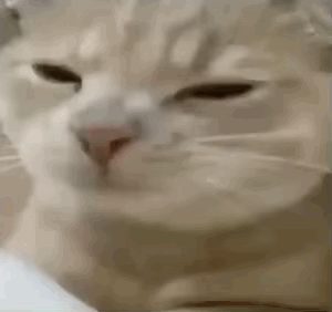 300x282