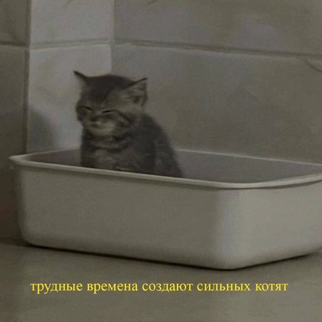 1080x1080